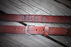 Kid's Leather Belt , PLAIN SMOOTH BROWN OR BLACK, Name Engraved Free!